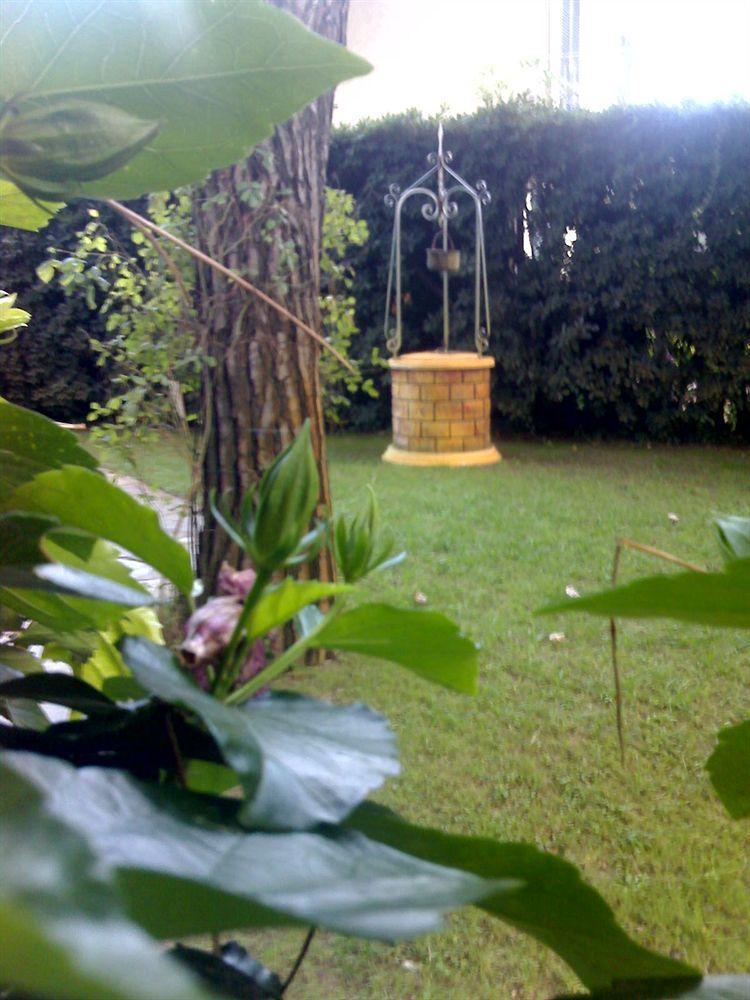 Hotel Airone B&B Marina di Pietrasanta Esterno foto